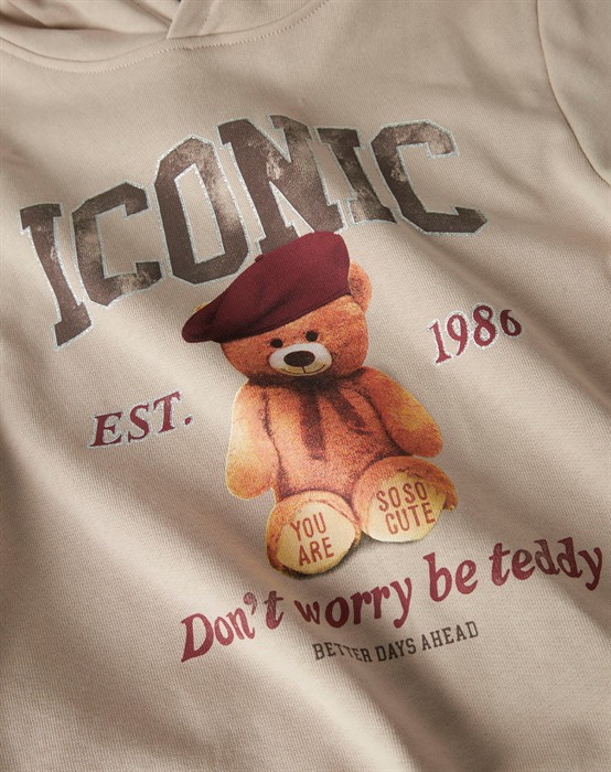 NKFrycca Sweatshirt - Cement 